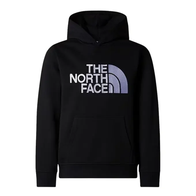 Achat Immédiat Sweat à capuche Garçon The North Face Drew Peak