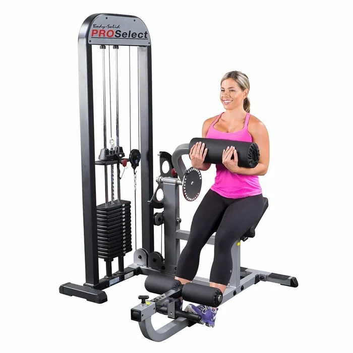 Appareil de musculation Body Solid Pro Select Ab-back 95 kg