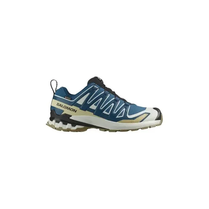 Artisanat Chaussures de trail Salomon XA PRO 3D V9 GTX DARK