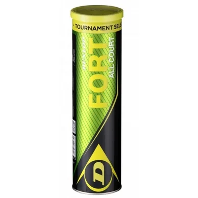 Balles de tennis Dunlop Fort All Court TS 4-Tin