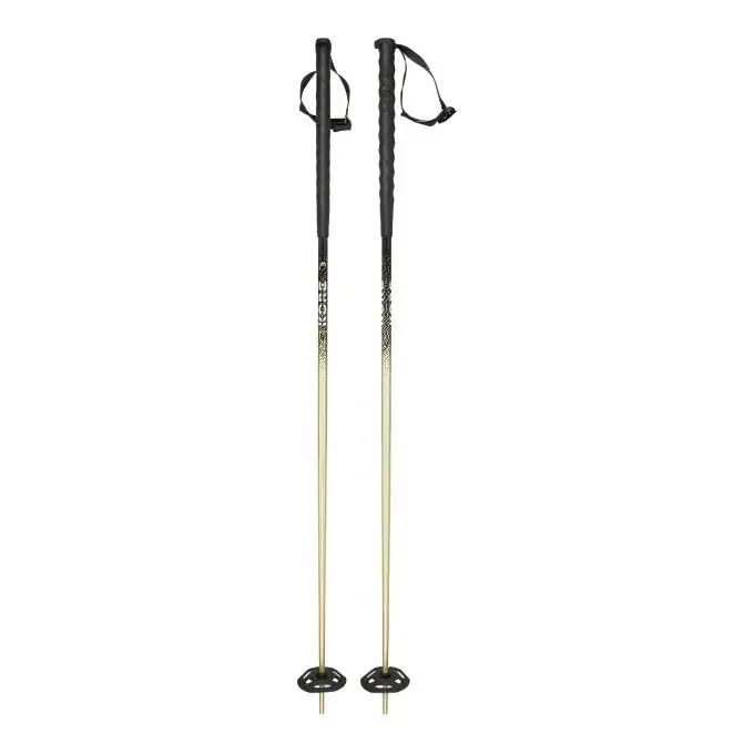 Bâtons de ski Head KORE FREERIDE Premium