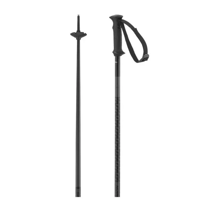 Bâtons SALOMON Polar Access – Black Prix Réduit
