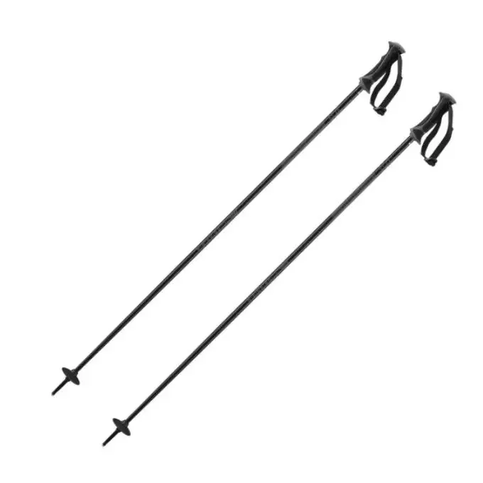 Bon Plan Bâtons de ski Salomon ARCTIC LADY Black Grey