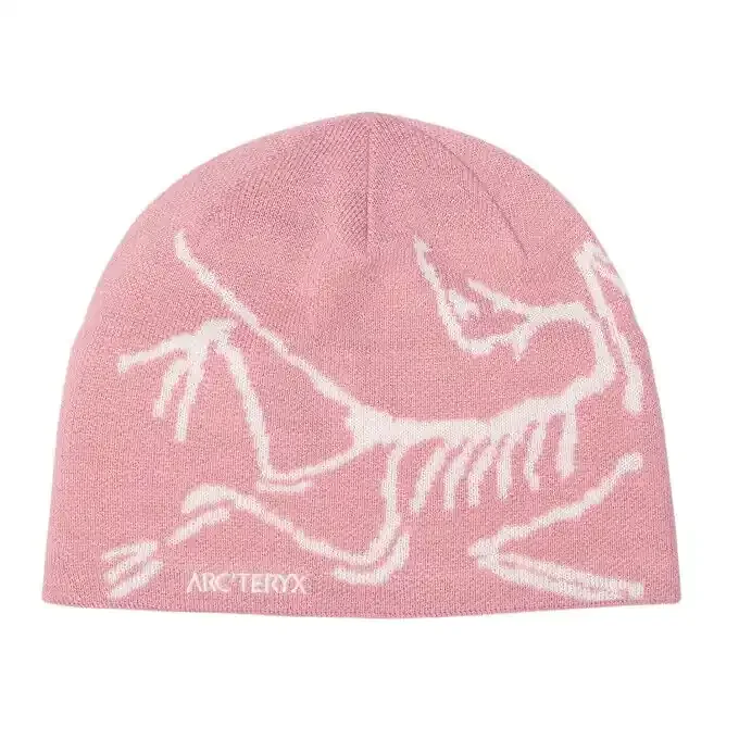 Bonnet Arc’Teryx Bird – Bliss/Arctic Silk Offre Limitée
