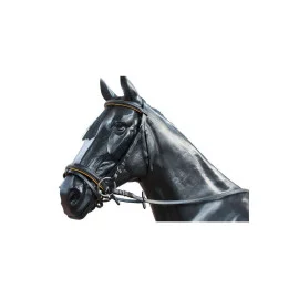 Cabezada de montar Padding