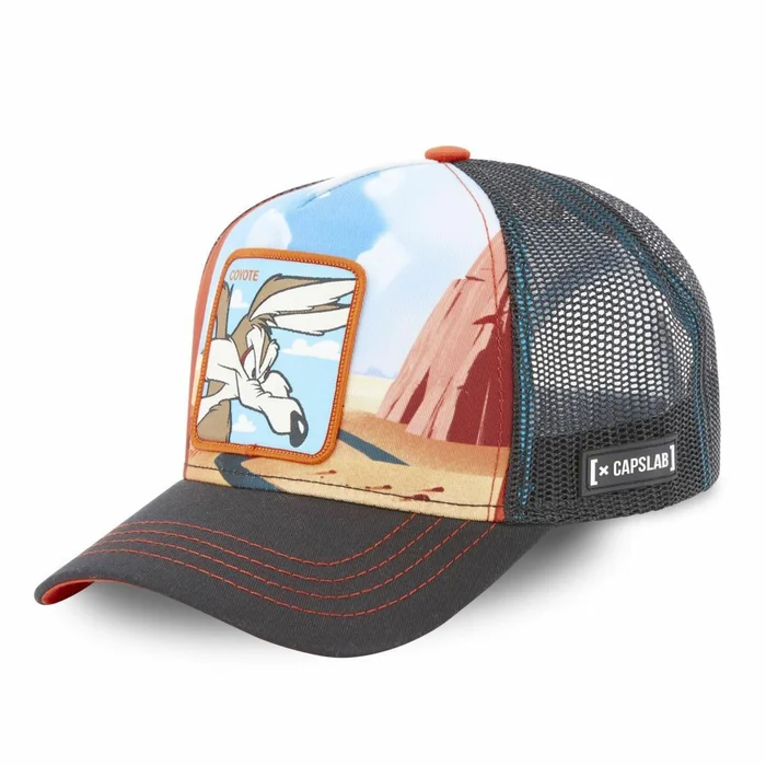 Casquette Capslab Looney Tunes Coyote