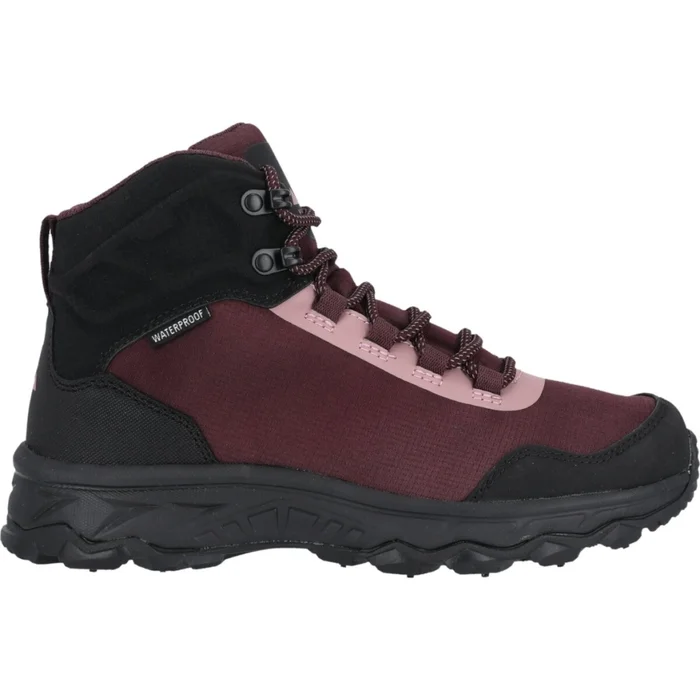 Chaussures de randonnu00e9e femme Whistler Atenst [Taille 36]