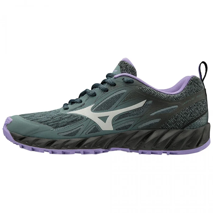 Chaussures de trail femme Mizuno Wave ibuki [Taille 36,5]