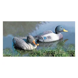 Cimbel Pato Macho