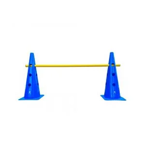Cônes d’entraînement avec barre (x2)