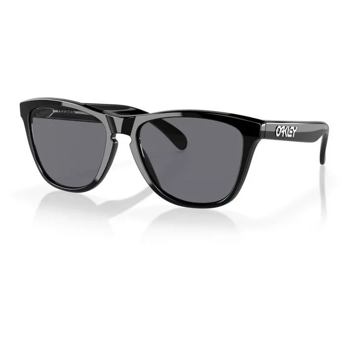 Dernier Modèle Oakley Frogskins Polished Black, Grey