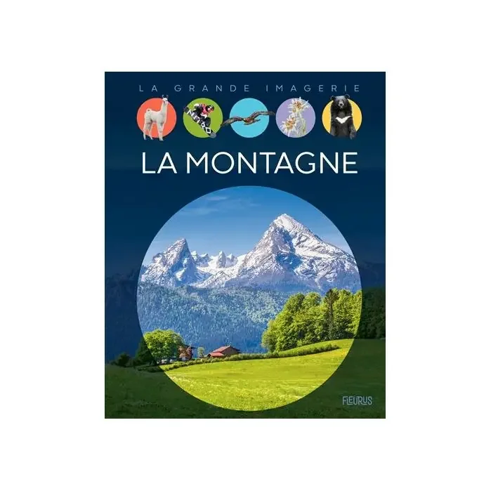 Expédié Aujourd’hui BD La Montagne