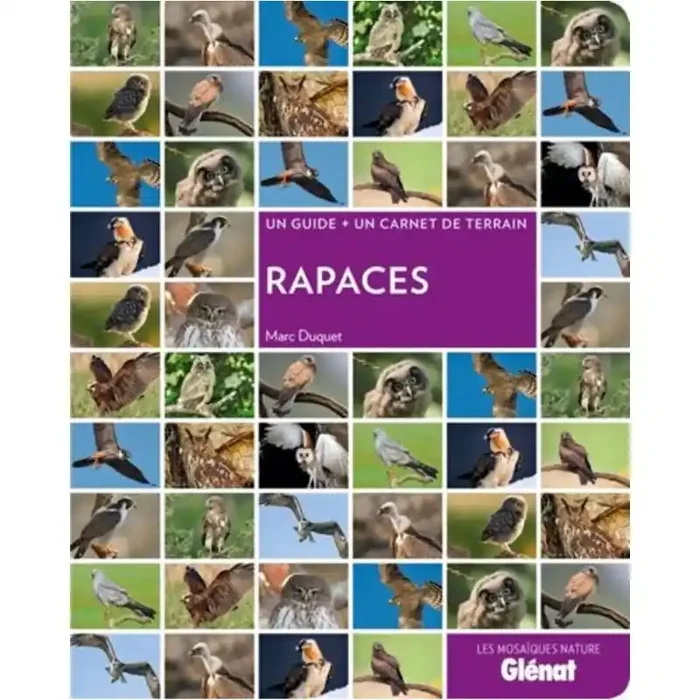 Guide Rapaces Commande En Gros