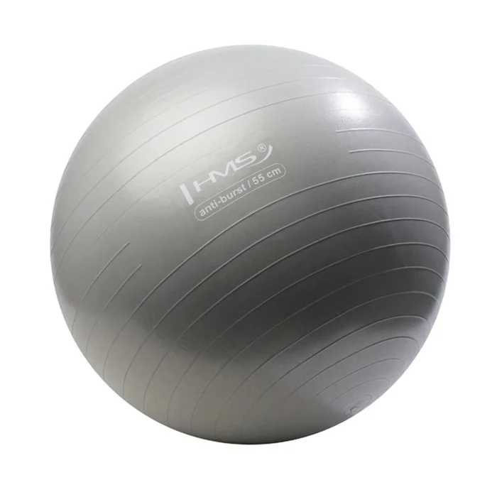 Gym ball Nouveau HMS YB02 [Taille 55 cm]