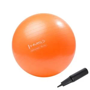 Gym ball YB02 New