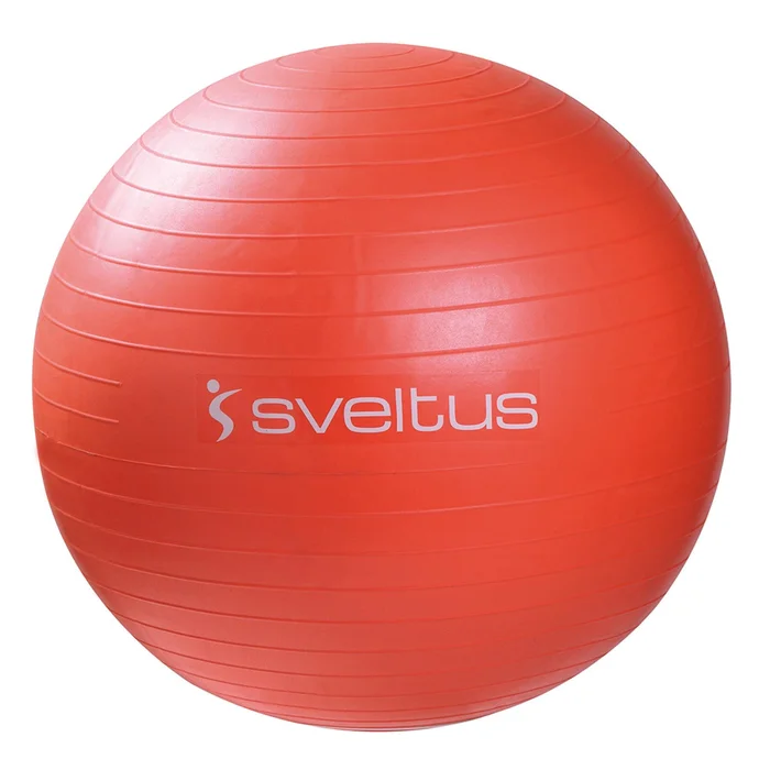 Gymball + boîte Sveltus 55cm