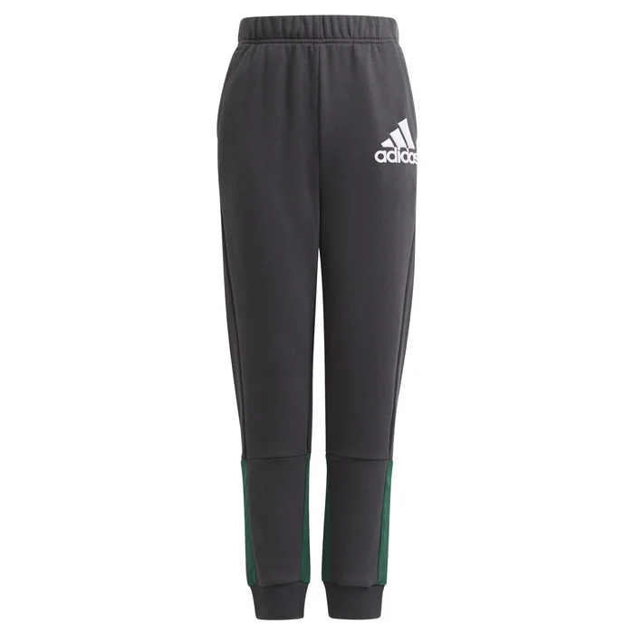Pantalon garçon adidas Badge of Sport