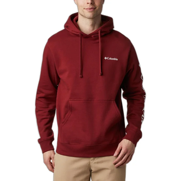 Sweatshirt u00e0 capuche Columbia Graphic Viewmontu2122 II [Taille S]