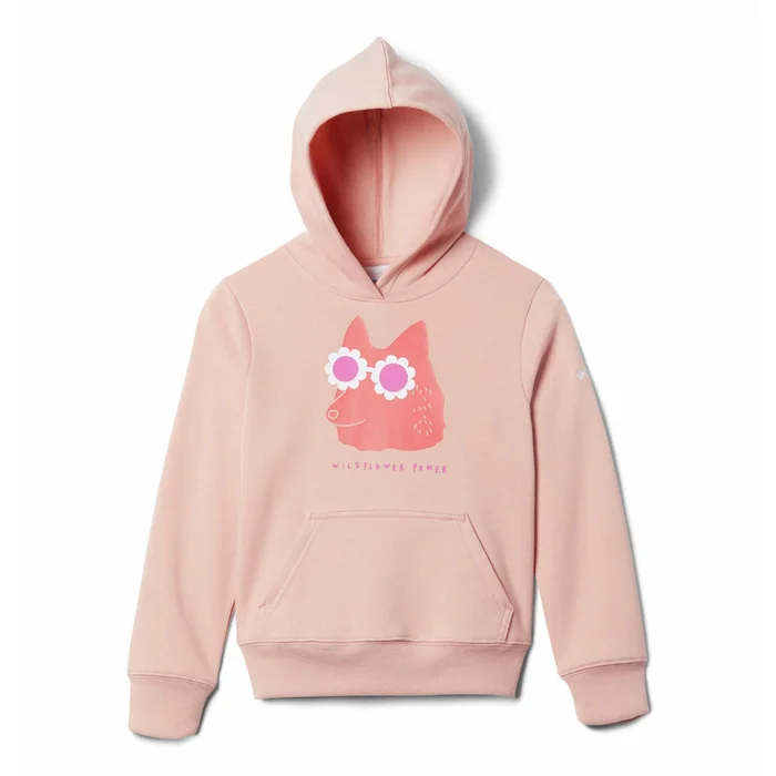 Sweatshirt u00e0 capuche enfant Columbia Basin Park Graphic [Taille 4 ans]