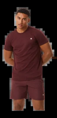 T-shirt Björn Borg Homme Ace T-shirt Stripe Decadent Chocolate