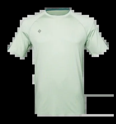 T-Shirt de Sport JDH Homme Performance Tee Sauge