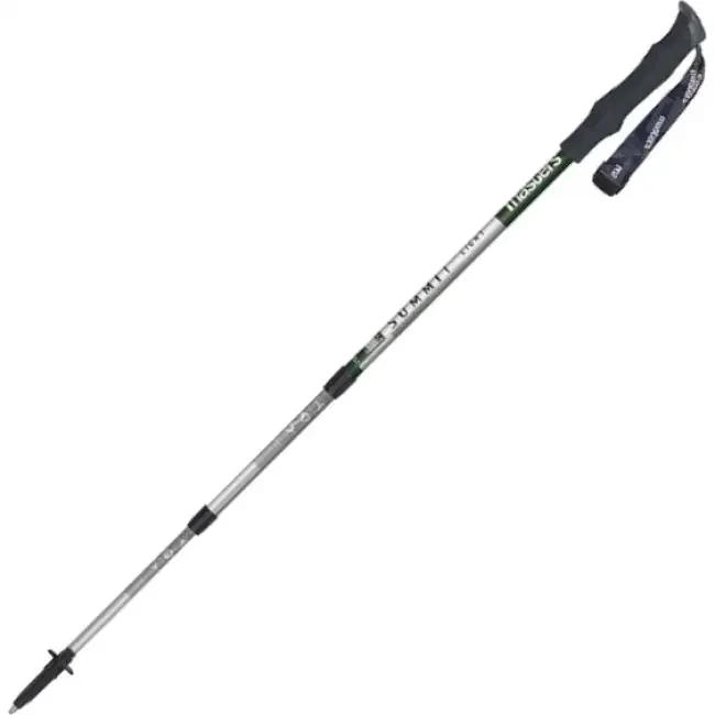 Top Vente Masters Summit Trekking Pole, bâtons de randonnée, vert clair