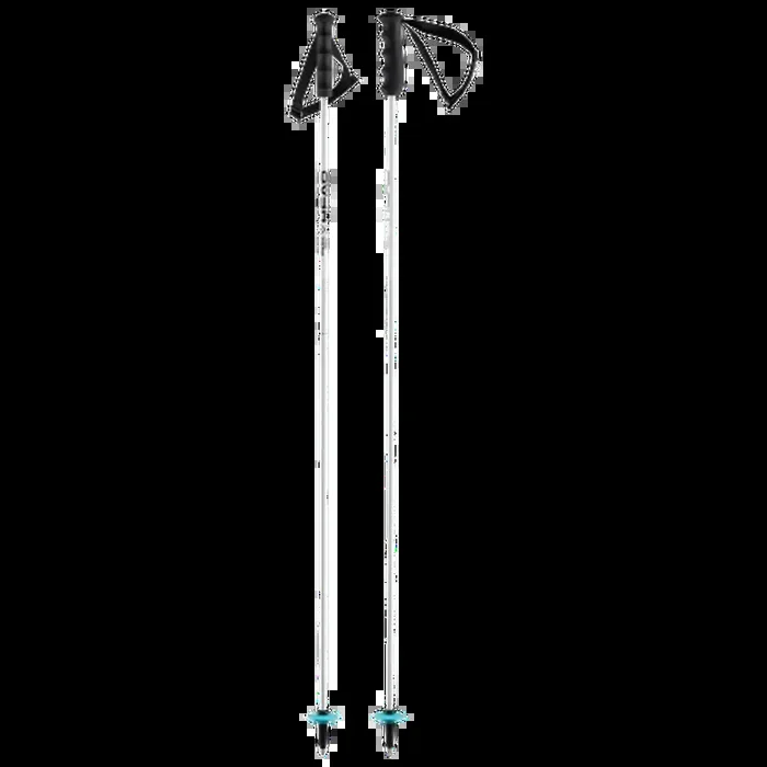 Worldcup Rebels Carbon Bâton Ski Super Prix